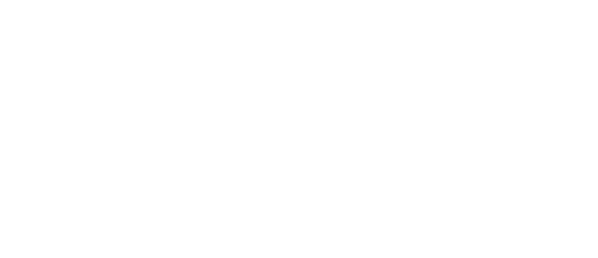 logo_lefay