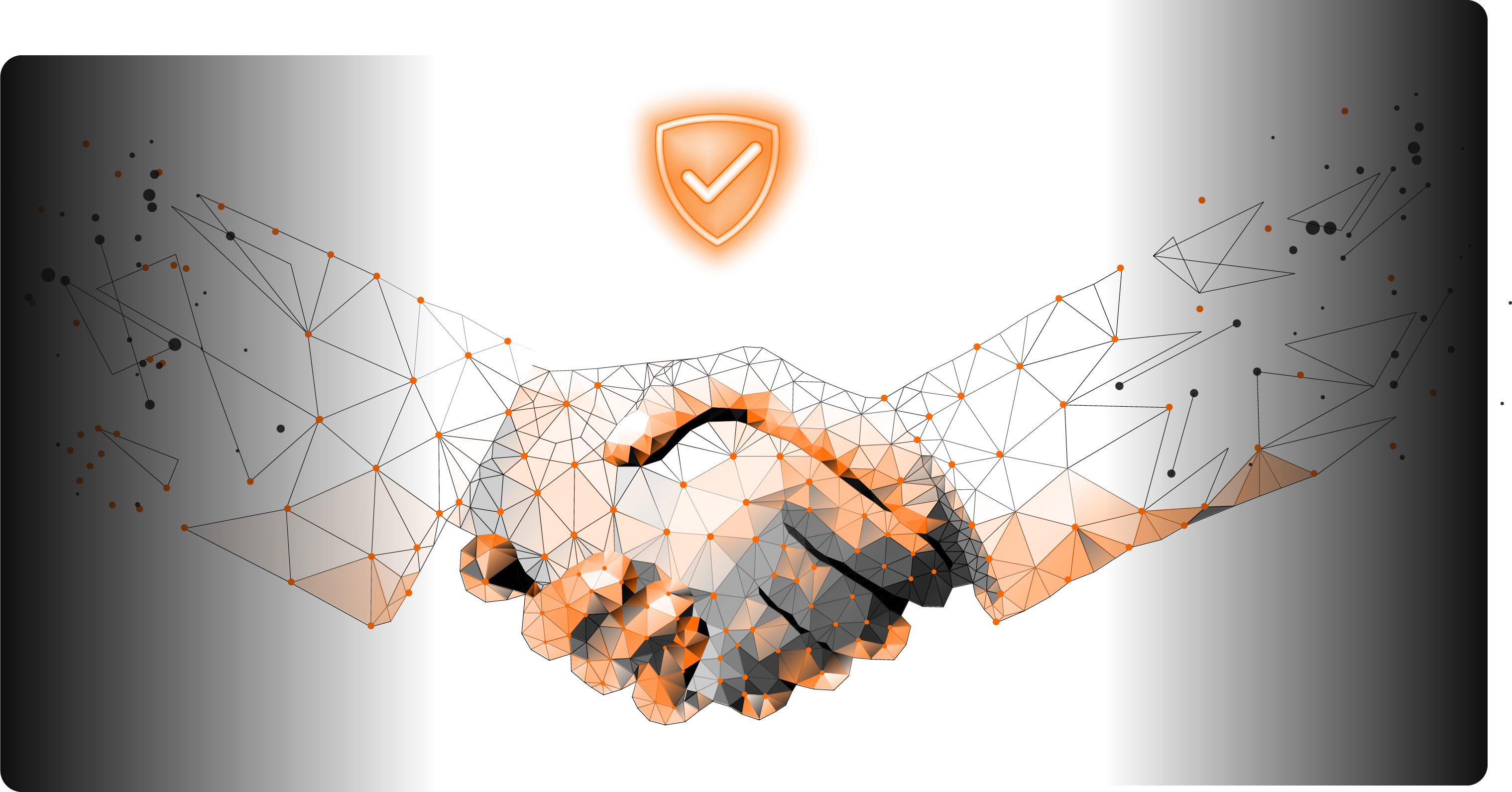 partner ufficialiRisorsa 13